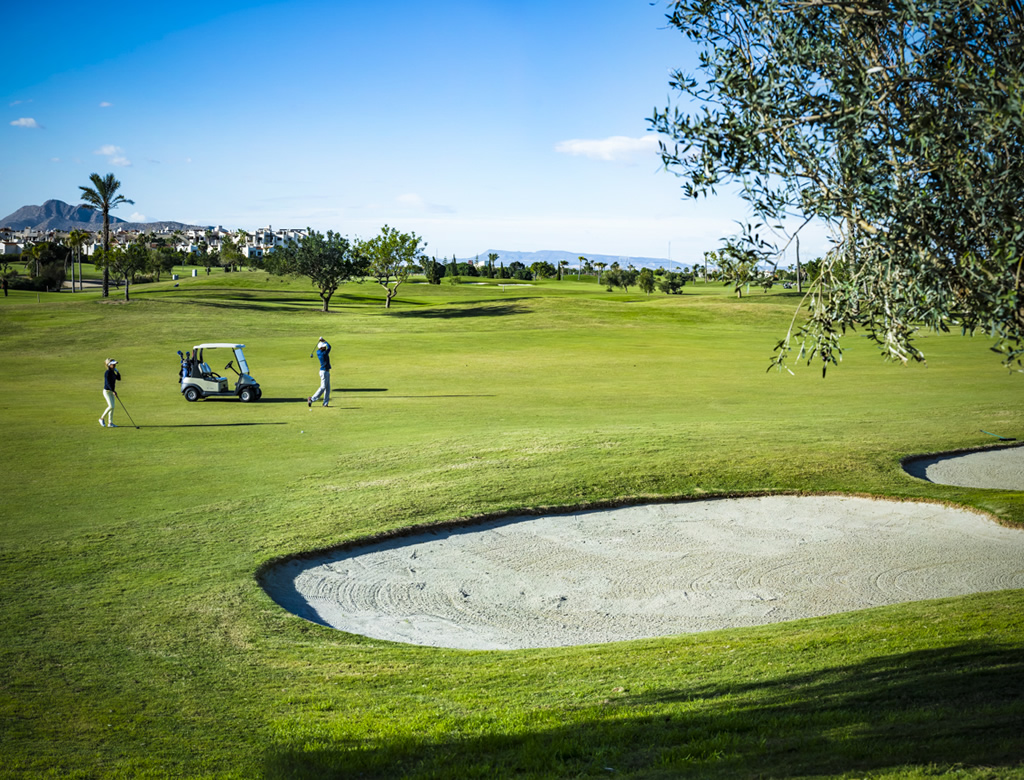Golf green and surroundings in Murcia region